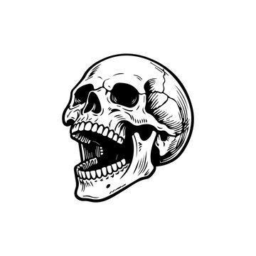 A collection of hand-drawn vintage human skull illustrations featuring multiple viewing angles and anatomical details. Designed in engraved blackwork style, ideal for tattoo designs, gothic apparel, s