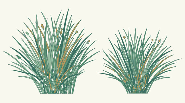 Ilustraci&oacute;n vectorial de dos matas de hierba verde con tallos y espigas sobre un fondo claro, ideal para dise&ntilde;os de paisajes naturales, jardiner&iacute;a o elementos decorativos de campo.