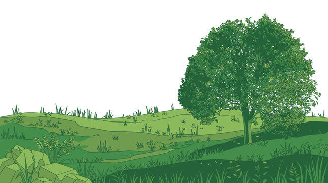 Illustrazione vettoriale di un paesaggio collinare verde con un grande albero rigoglioso e prato erboso su sfondo bianco, ideale per design naturalistici e progetti grafici.