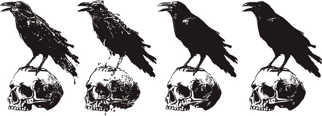 Fototapeta premium grunge raven perched on human skull silhouette set isolated on white background