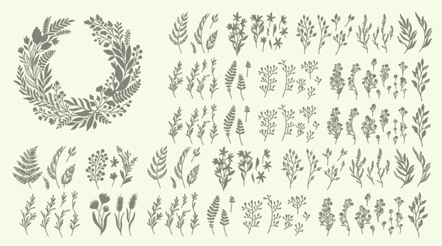 Set di elementi botanici disegnati a mano con una ghirlanda floreale e vari rami, foglie e fiori selvatici in stile minimalista su sfondo color crema per design decorativo.