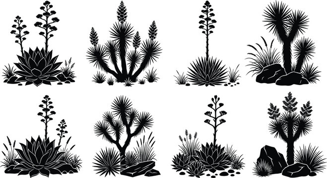 Collection of desert plant silhouettes featuring joshua trees agave and yucca isolated on white background