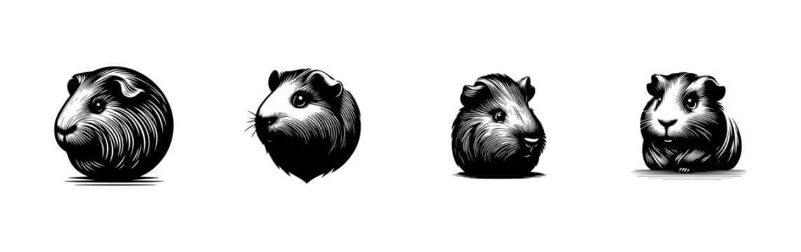 A set of four black and white illustrations of cute guinea pig heads.