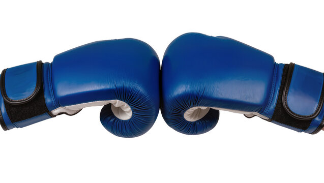 Pair of blue leather boxing gloves facing each other