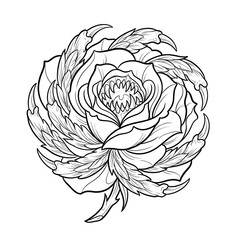 Obraz premium Monster Flower Line Art Coloring Page with Carnivorous Bloom and Claw Petals