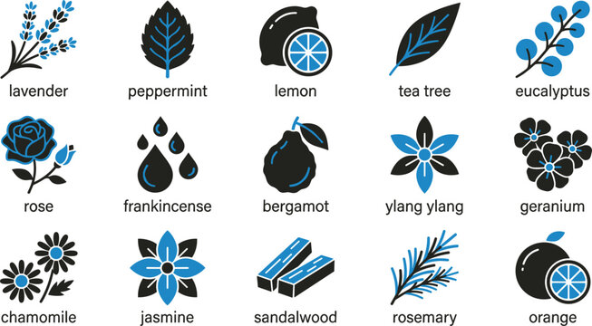 Essential oils ingredients icon set featuring organic herbs plants and fruits vector illustration isolated on white