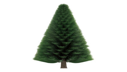 Conifer tree with dense green needles and brown trunk © Laura