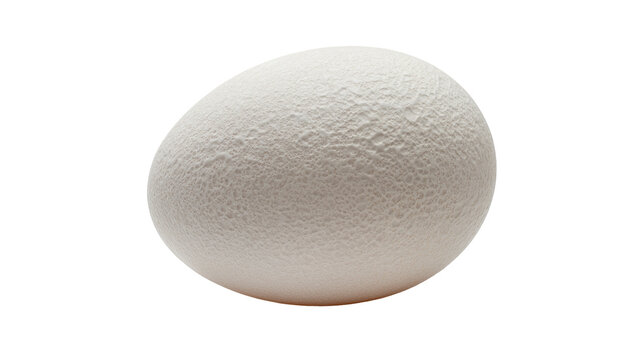 Textured white egg with dimpled surface