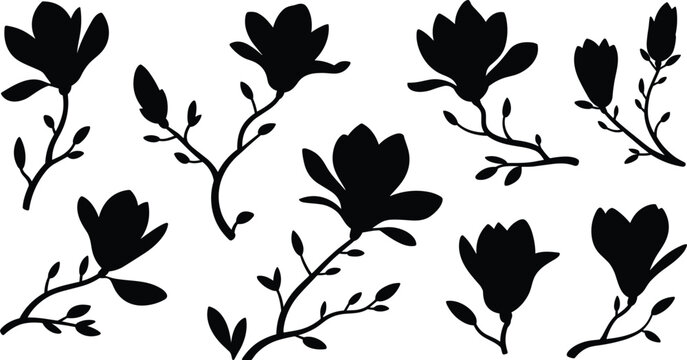 Vector collection of nine elegant magnolia flower and bud silhouettes on delicate leafy branches, featured in image_f84683.png, isolated on a white background..eps