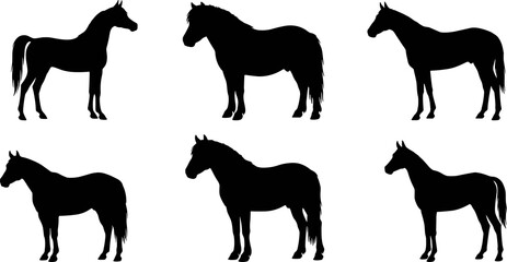 Black horse head silhouettes in profile with varied mane styles and distinct equine features for creative design use © AUSTOMI