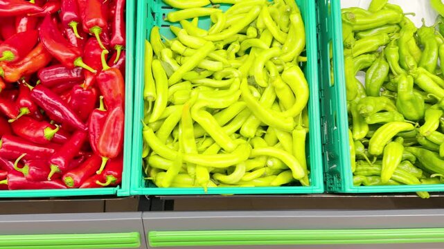 Colorful Display of Fresh Bell Peppers and Purple Eggplants in Plastic Containers on a Supermarket Shelf