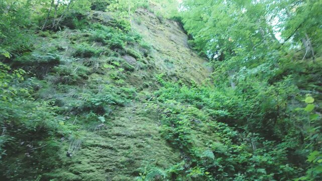 Felsformation mit Vegetation, Drachenschlucht Eisenach Sommer