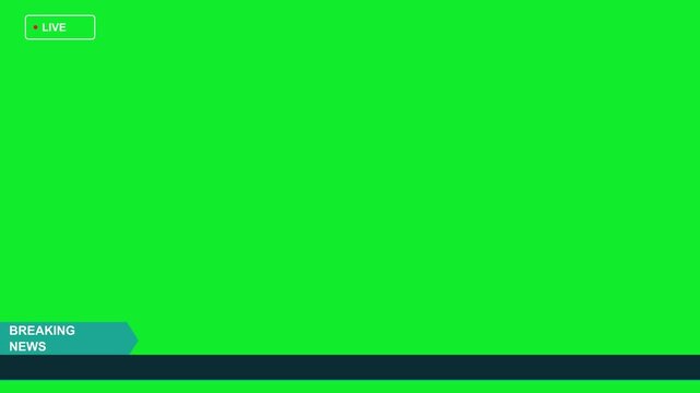 A clear digital bar chart titled "Profit vs. Loss - Q4," comparing significant profit (green) against a smaller loss (red) in the fourth quarter on a dark background.