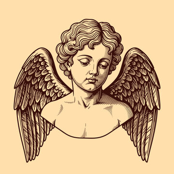Illustration of a winged cherub head.