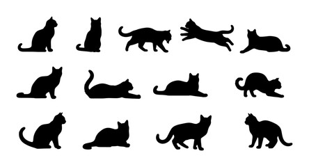 Fototapeta premium Diverse Cat Silhouettes Collection, 12 Vector Poses, Black Feline Animal Icons for Pet Lovers and Graphic Design