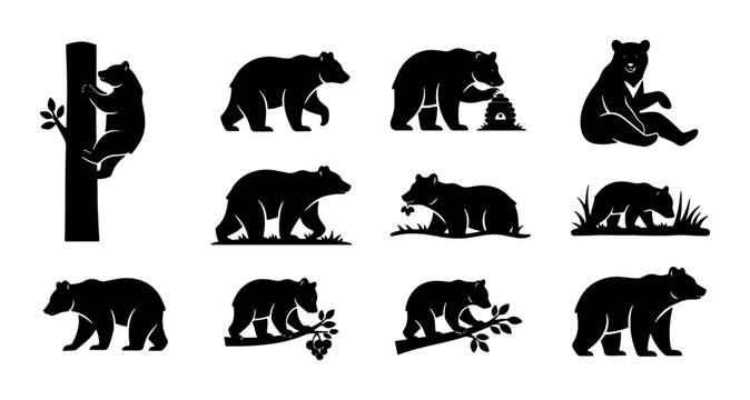 Diverse Bear Silhouettes Collection, Wildlife Animal Poses, Forest Creatures Vector Set, Nature Icons for Design