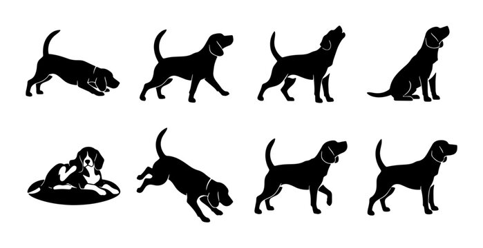 Dog Silhouette Collection, Beagle Poses Vector Set, Canine Animal Iconography, Black and White Graphic Elements