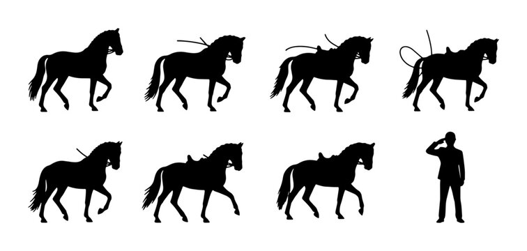 Horse Silhouette Collection, Equestrian Poses, Rider Training, Black Vector Graphics for Animal Lovers and Sport Enthusiasts