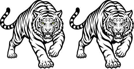 Angry tiger stalking front view vector illustration set with aggressive roaring wild cat mascot character graphics isolated © Honey Qween!
