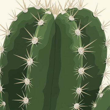 Macro view of a stylized green succulent cactus with long beige spines and detailed areoles, showing vertical ribs in a graphic flat art style against a cream background.