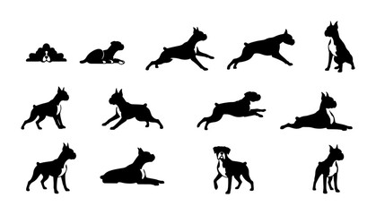 Fototapeta premium Boxer Dog Silhouettes: Dynamic Poses, Full Body Vector Set for Pet Lovers, Animal Graphics, and Canine Design Projects