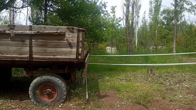 Abandoned old rusty tractor in the forest