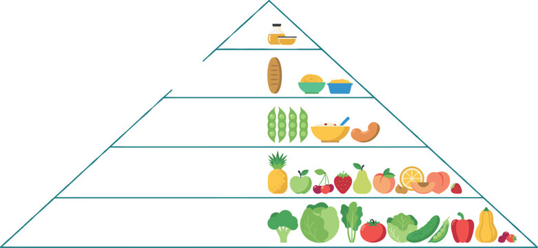 Healthy food pyramid infographic template chart with flat icons of fresh vegetables fruits grains beans and oils isolated on white background vector illustration