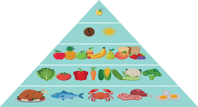 Nutrition pyramid chart template infographic with various food groups including fish chicken crab steak vegetables and bread for healthy lifestyle education vector