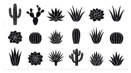 Collection of various cactus and succulent illustrations © vectolab