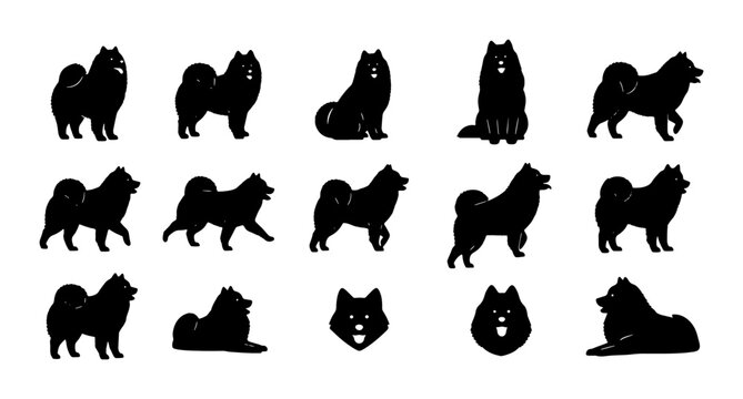 Fluffy Dog Silhouettes, 15 Black Samoyed Poses Vector Pack, Cute Canine Breed Icons for Pet Lovers and Animal Graphics