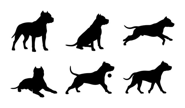 Pitbull Dog Silhouettes, Six Poses Vector Set, Black Canine Animal Graphics for Commercial Use