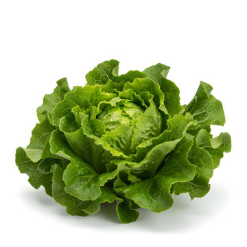 Lechuga verde fresca y crujiente aislada sobre fondo blanco de estudio