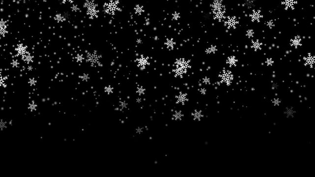 Calm falling snow flakes winter background. Snow fall snowflakes background, isolated overlay white snowfall light.
Isolated snow falling on black background