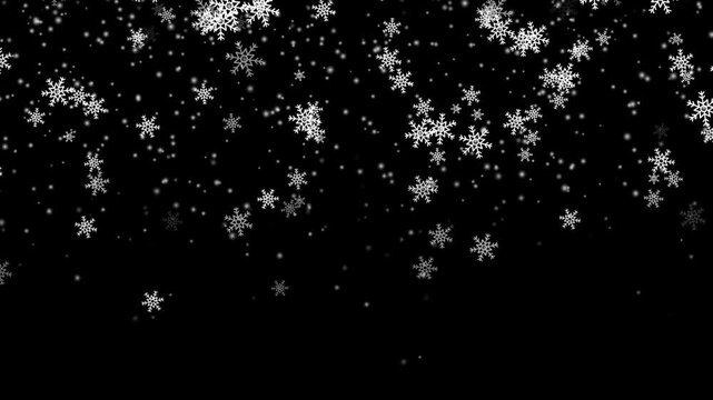 Calm falling snow flakes winter background. Snow fall snowflakes background, isolated overlay white snowfall light.
Isolated snow falling on black background