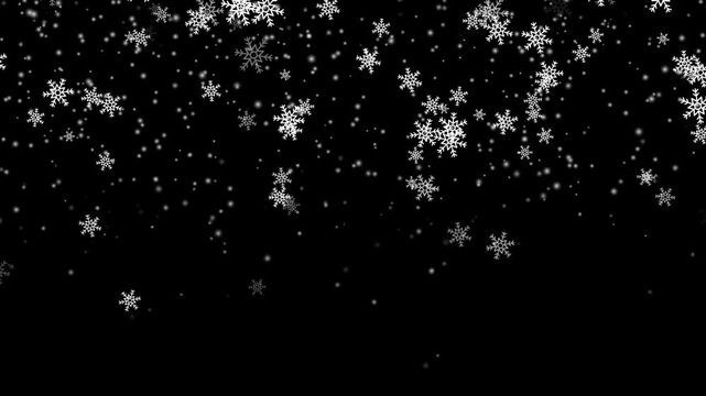 Calm falling snow flakes winter background. Snow fall snowflakes background, isolated overlay white snowfall light.
Isolated snow falling on black background