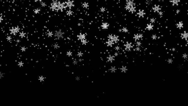Calm falling snow flakes winter background. Snow fall snowflakes background, isolated overlay white snowfall light.
Isolated snow falling on black background