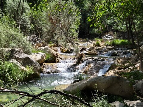 Rio Guadalquivir a su paso por Arroyo Frio, Ja&eacute;n