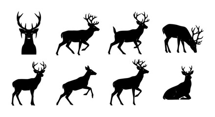 Fototapeta premium Deer Silhouettes Collection, Majestic Stag Poses, Wildlife Animal Vector Graphics, Forest Creature Icons, Nature Art Elements