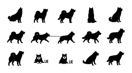 Siberian Husky Silhouette Collection: Diverse Poses, Vector Icons for Pet Lovers, Canine Graphics, Dog Breed Art © Afifa