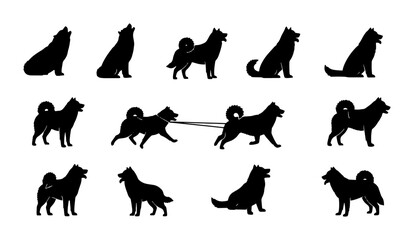 Husky Dog Silhouettes, Diverse Poses and Actions, Vector Art Collection for Pet Lovers and Graphic Design © Afifa