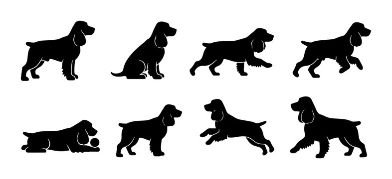 Cocker Spaniel Dog Silhouettes Collection, Eight Poses Vector Art, Black and White Canine Graphics for Pet Lovers and Animal Graphics