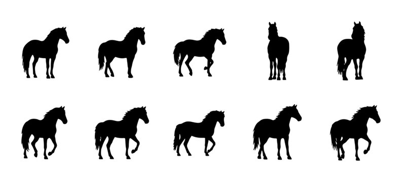 Horse Silhouette Collection, Equine Poses Vector Pack, Black Animal Graphics for Equestrian Themes