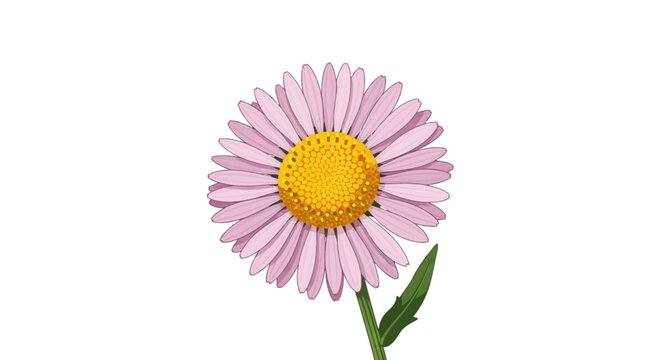 Vector illustration of a single common fleabane flower featuring pink ray petals and a yellow disc floret center, isolated on a white background with a green stem and small leaf.