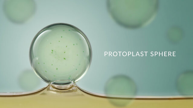 Protoplast sphere with green particles inside a clear liquid bubble on a yellow surface against a blue background with green circles