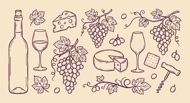Wine cheese and grapes linear illustration with sketched botanical elements