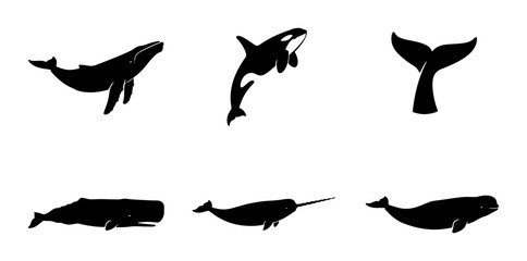 Whale Silhouettes Vector Pack: Diverse Marine Mammal Icons for Oceanography, Wildlife, and Nautical Designs © Firuj