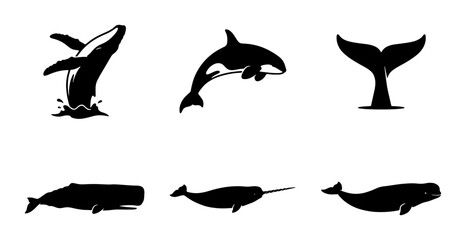 Whale Vector Icons Set: Humpback, Orca, Sperm Whale, Narwhal, and Tail Silhouettes for Marine Life and Ocean Themes © safi