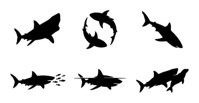 Shark Silhouettes Collection, Marine Predator Vector Icons, Ocean Wildlife Set, Aquatic Danger Symbols, Predator Vector Art
