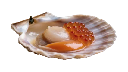 Fototapeten Rehe Scallop with roe and coral in shell  © Luca