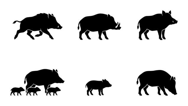 Wild Boar Silhouette Collection, Pig Family Icons, Forest Animal Vector Graphics, Hunting and Nature Symbol Set